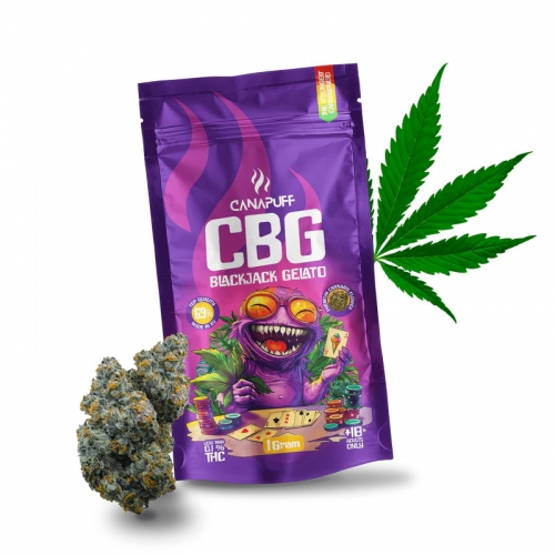 CBG Fiori Blackjack Gelato 69%