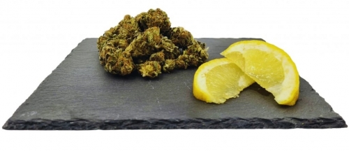 Lemon Haze CBD Peso: 1 g