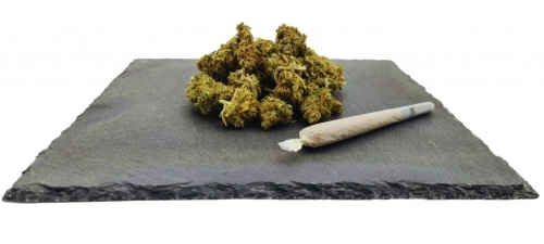 Amnesia Haze CBD Peso: 1 g