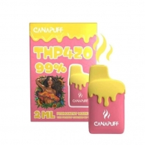Pennarello indelebile 99% THP420 - Canapuff - Monouso 2ml
