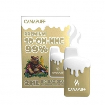 Big Bad Bear 99% 10-OH-HHC - Canapuff - Monouso 2ml