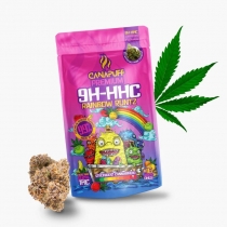 9H-HHC Fiori Rainbow Runtz 99% - Canapuff 1 g
