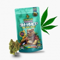9H-HHCP Fiori Big Bad Bear 99% - Canapuff 1 g