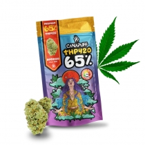 THP420 Fiori Amnesia 65% - Canapuff 1 g